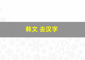 韩文 去汉字